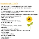 Csengo Vendeghaz 3*