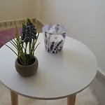 בית הארחה Csengo Vendeghaz קישקורוש