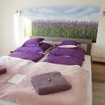 Csengo Vendeghaz בית הארחה קישקורוש