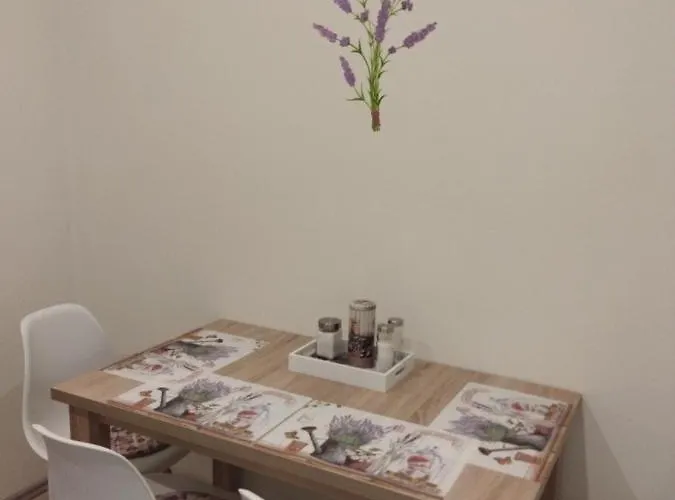 Csengo Vendeghaz קישקורוש